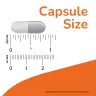 Now Foods Choline & Inositol 500 mg (100 Veg Capsules)
