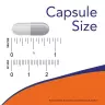 Now Foods Brain Elevate Veg Capsules (120 Veg Capsules)