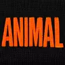 Universal Nutrition Animal Beanie (1 st, Zwart/Oranje)