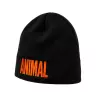 Universal Nutrition Animal Beanie (1 st, Zwart/Oranje)