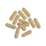 Nutrend Tribulus Terrestris Turbo (120  Capsules)