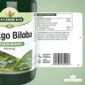 Natures Aid Ginkgo Biloba Standardised 120 mg (90 Tabletten)