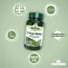 Natures Aid Ginkgo Biloba Standardised 120 mg (90 Tabletten)