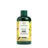 The Body Shop Mango Shower Gel (250 ml)