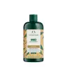The Body Shop Ginger Anti-dandruff Shampoo (400 ml)
