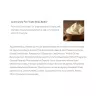 The Body Shop White Tea and Elderflower Body Butter (200 ml)