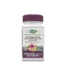 Nature's Way Echinacea Astragalus & Reishi (100  Capsules)
