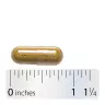 Nature's Way Echinacea Goldenseal Premium Blend (100  Capsules)