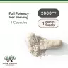 Double Wood Supplements Magnesium L-Threonate (Magtein) (120  Capsules)